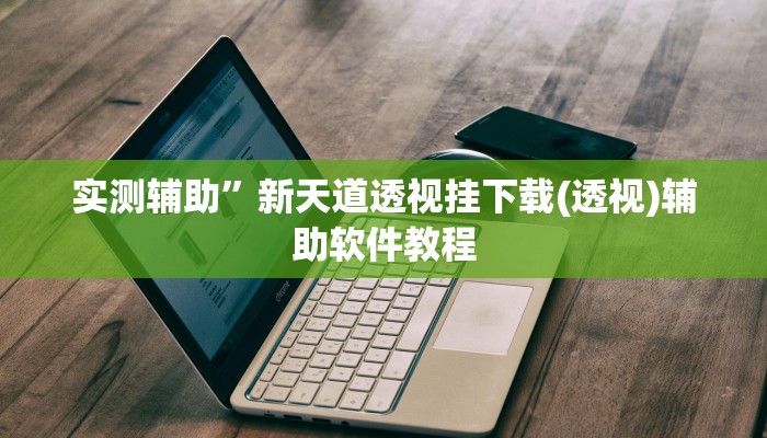 实测辅助”新天道透视挂下载(透视)辅助软件教程